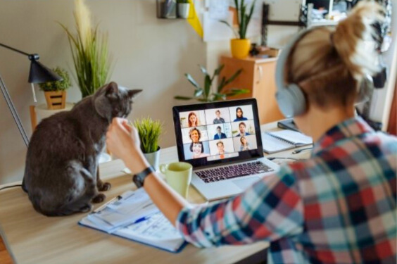 Cultivating Psychological Safety in Hybrid Teams